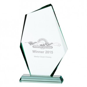 DISCOVERY JADE GLASS AWARD - 280MM - AVAILABLE IN 3 SIZES